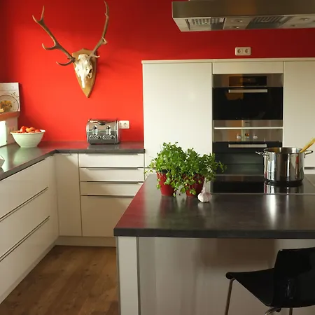 Dreimaederlhaus - Vegetarische Boutique Pensión 4*